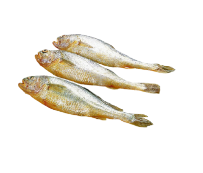 yellow croaker-黄花鱼
